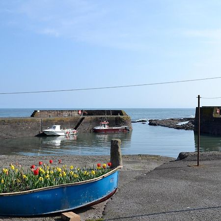 Harbour View Johnshaven Exterior foto