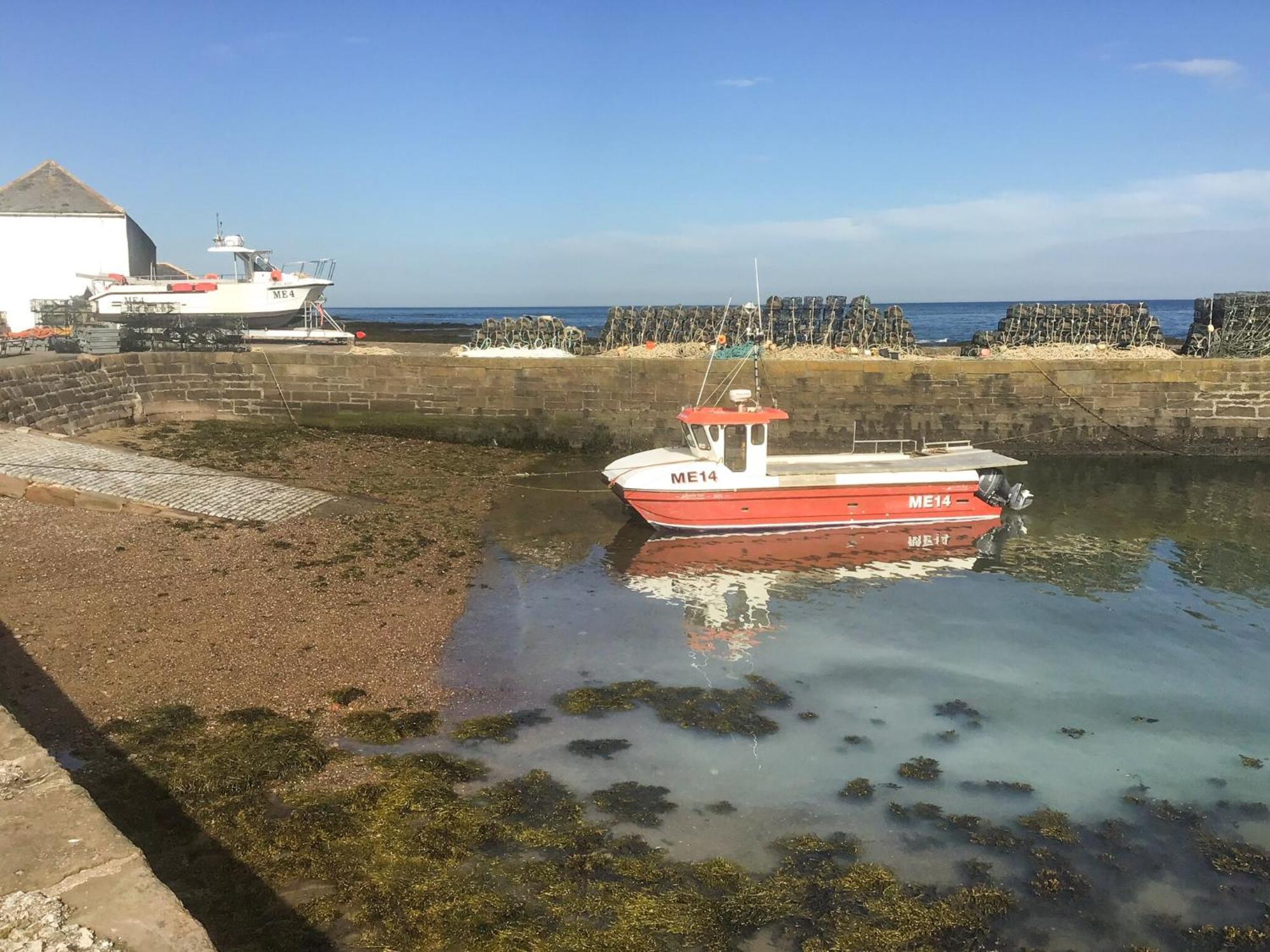 Harbour View Johnshaven Exterior foto