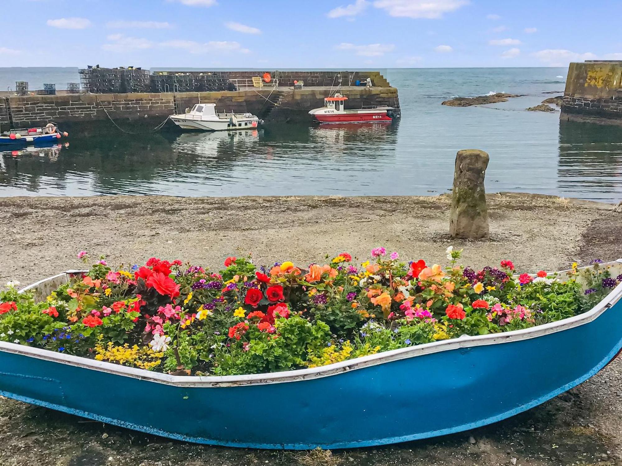 Harbour View Johnshaven Exterior foto